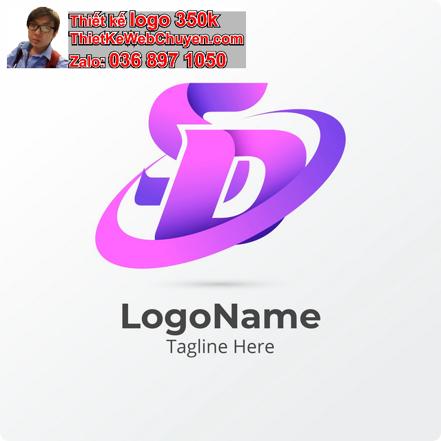 Logo DS