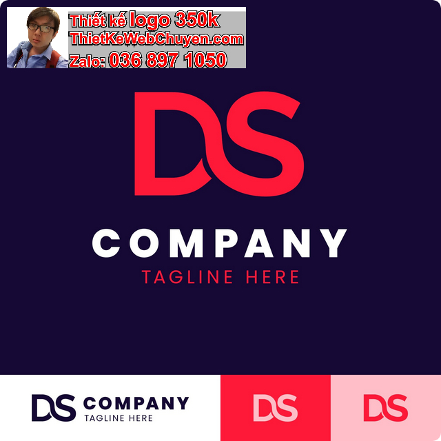 Logo DS
