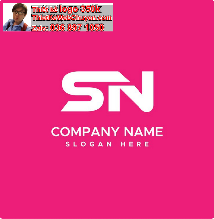  Logo SN