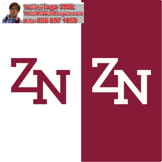 Logo ZN