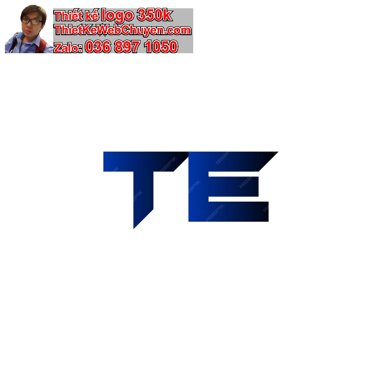 Logo TE
