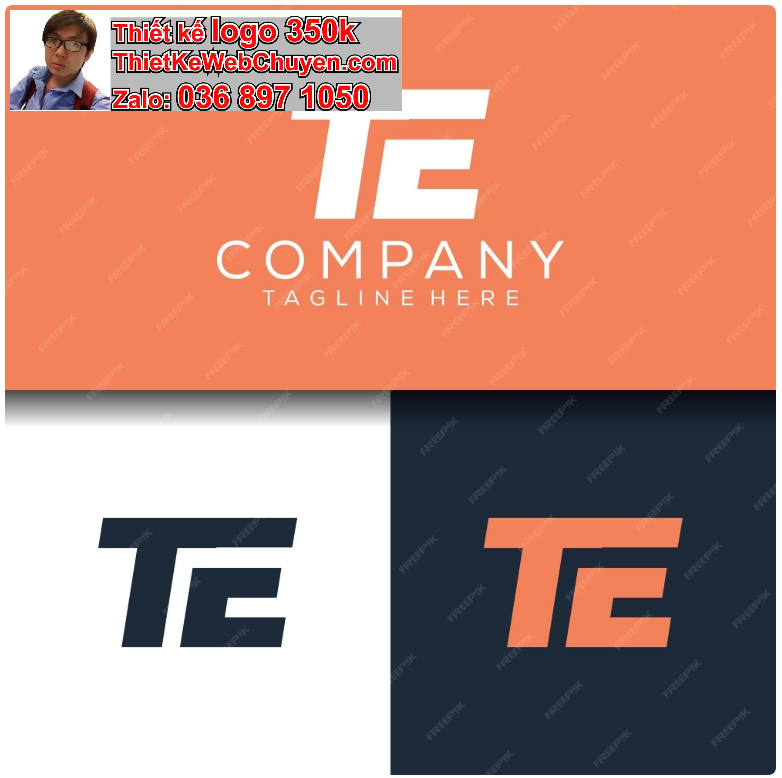 Logo TE