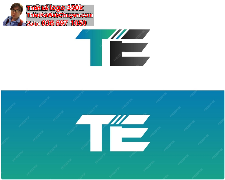 Logo TE