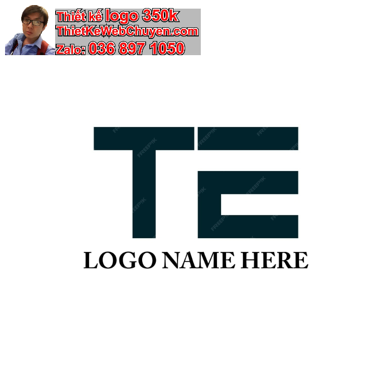 Logo TE