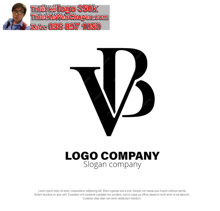 Logo VB