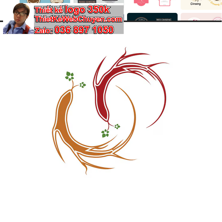 Thiết Kế Logo Nhân Sâm